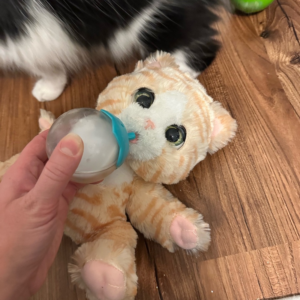 Furreal plush Orange Tabby Kitten with Blue Feeding Bottle - meows, interactive